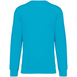 Native Spirit Drifter pulver, Light Turquoise (pulver)